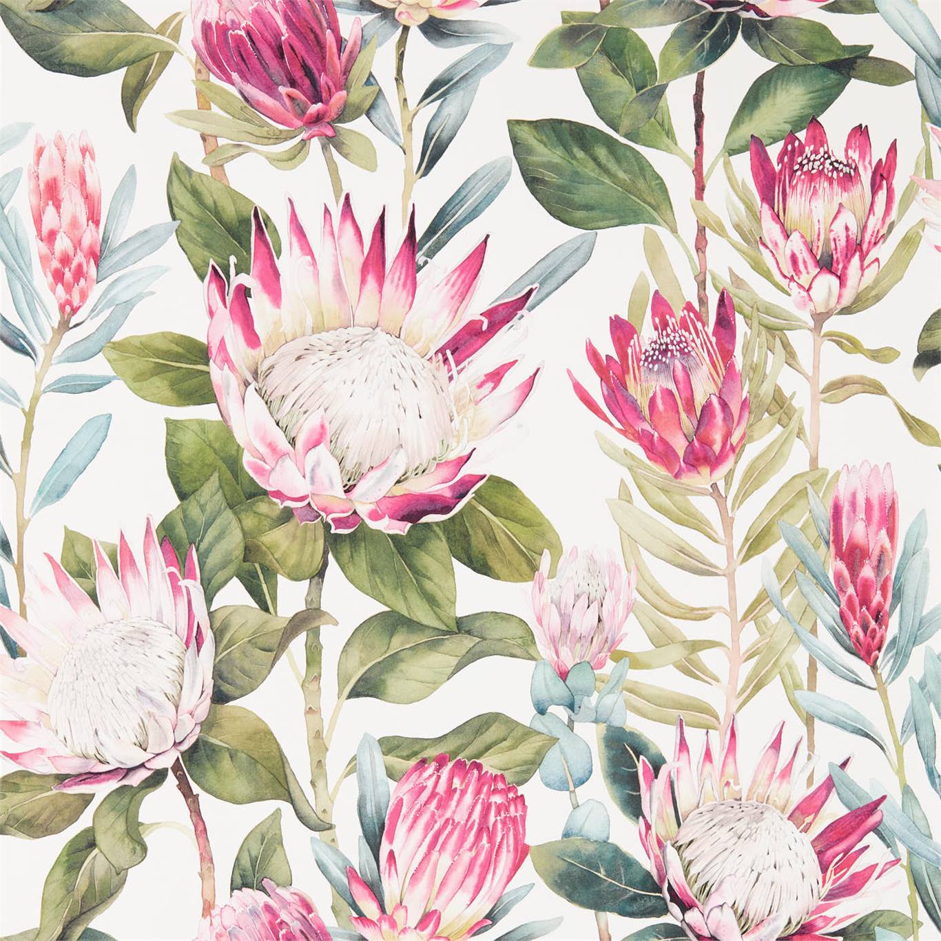 Обои King Protea от Sanderson