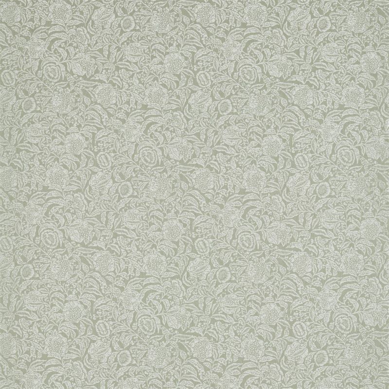 DDAM236466_Willow DDAM236466_Willow