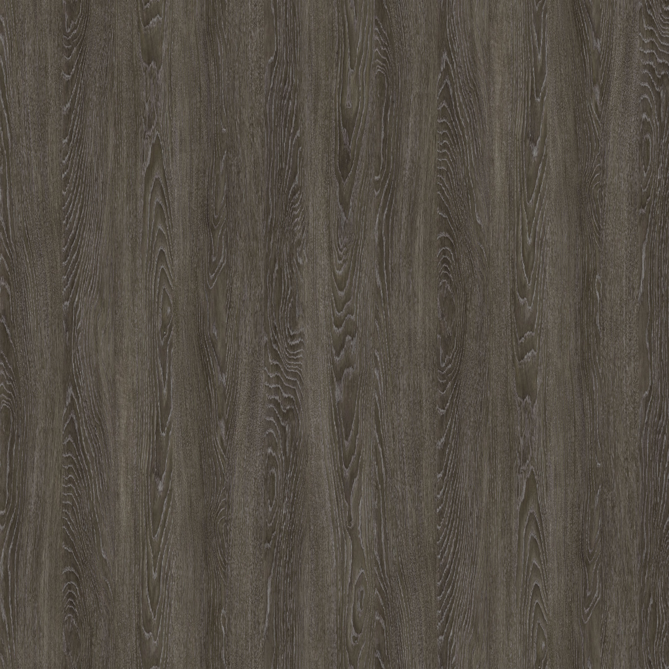 Обои Grand chene gris от Nobilis