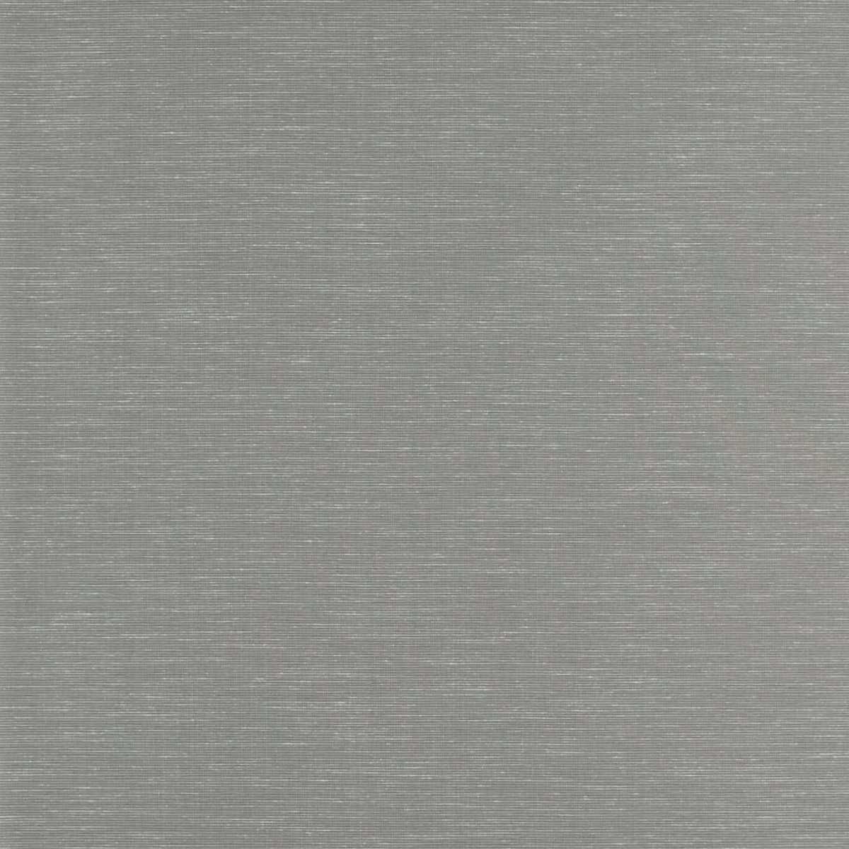 ZAKA312493 Silver Birch ZAKA312493 Silver Birch