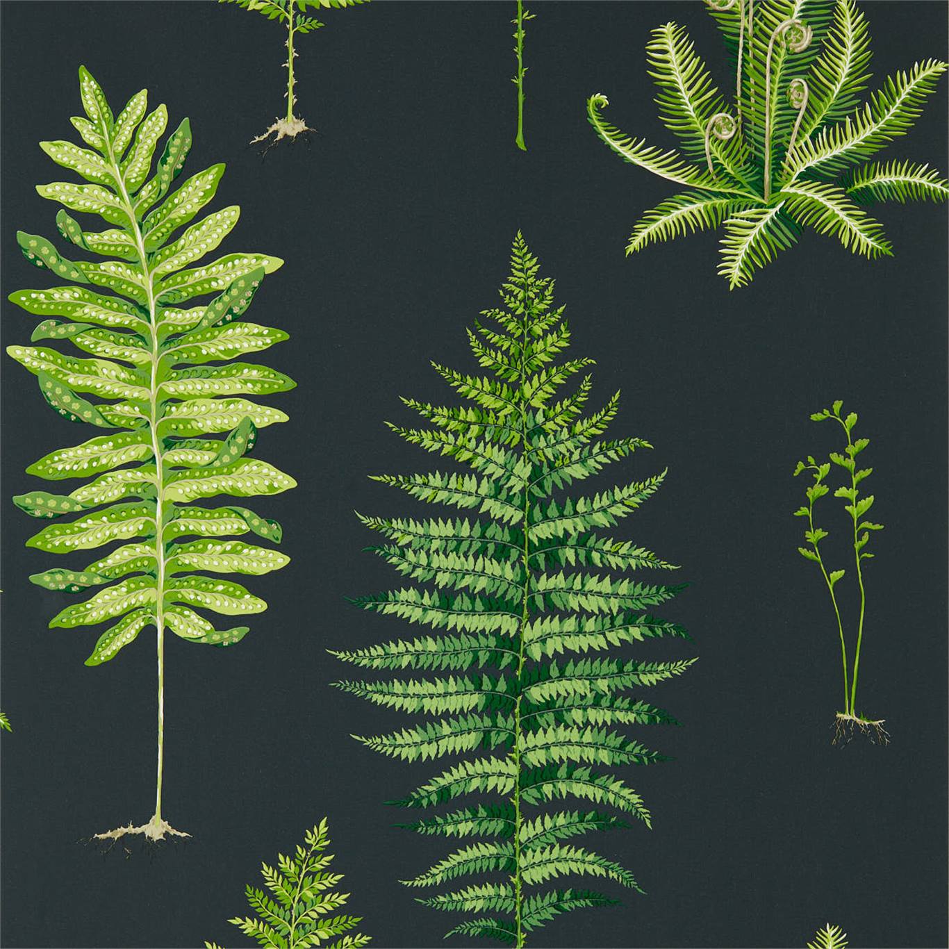 Обои Fernery Botanical от Sanderson