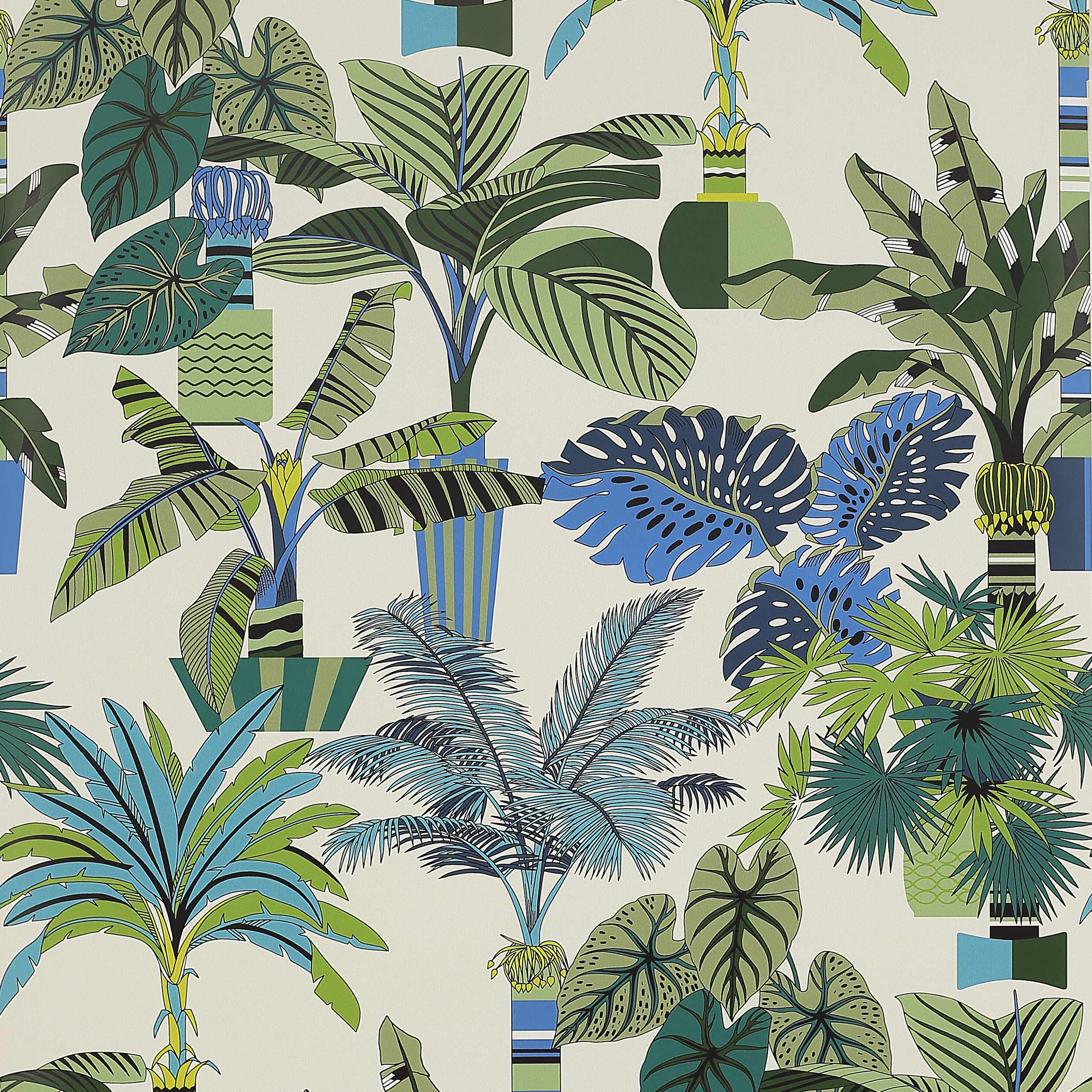Обои Florida от Manuel Canovas