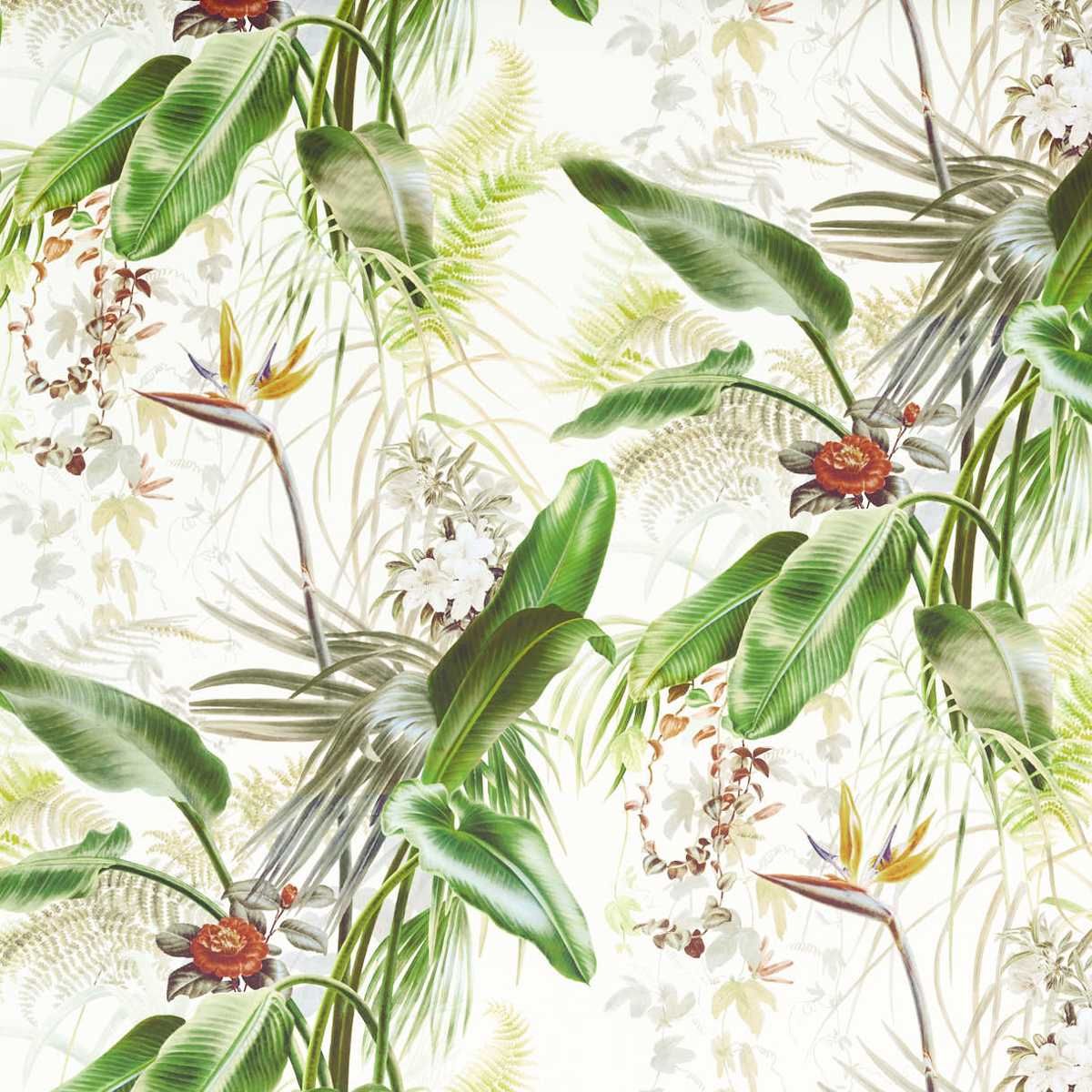 Обои Paradise Row от Zoffany