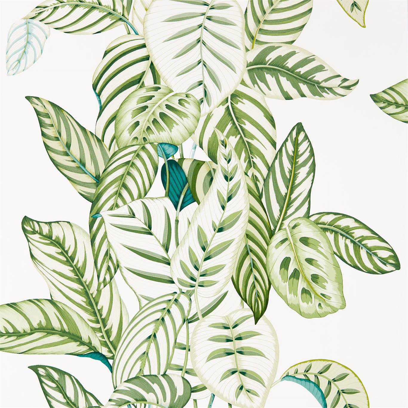 Обои Calathea от Sanderson