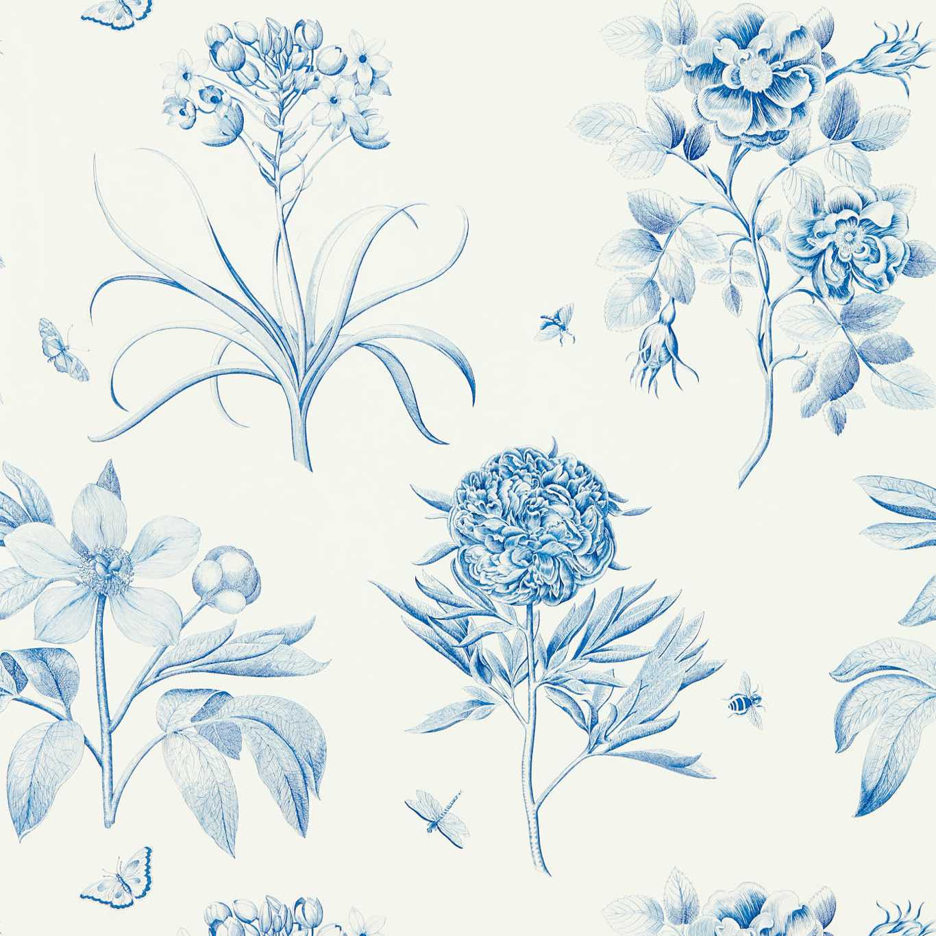 Обои Etching & Roses от Sanderson