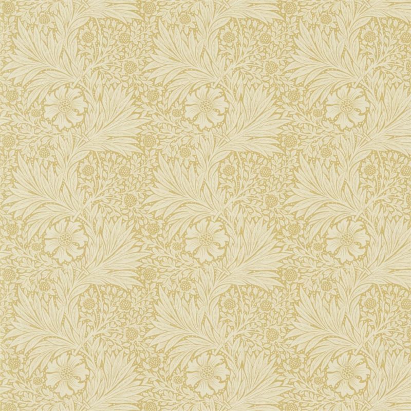 DM6F220316_Lichen/Cowslip DM6F220316_Lichen/Cowslip