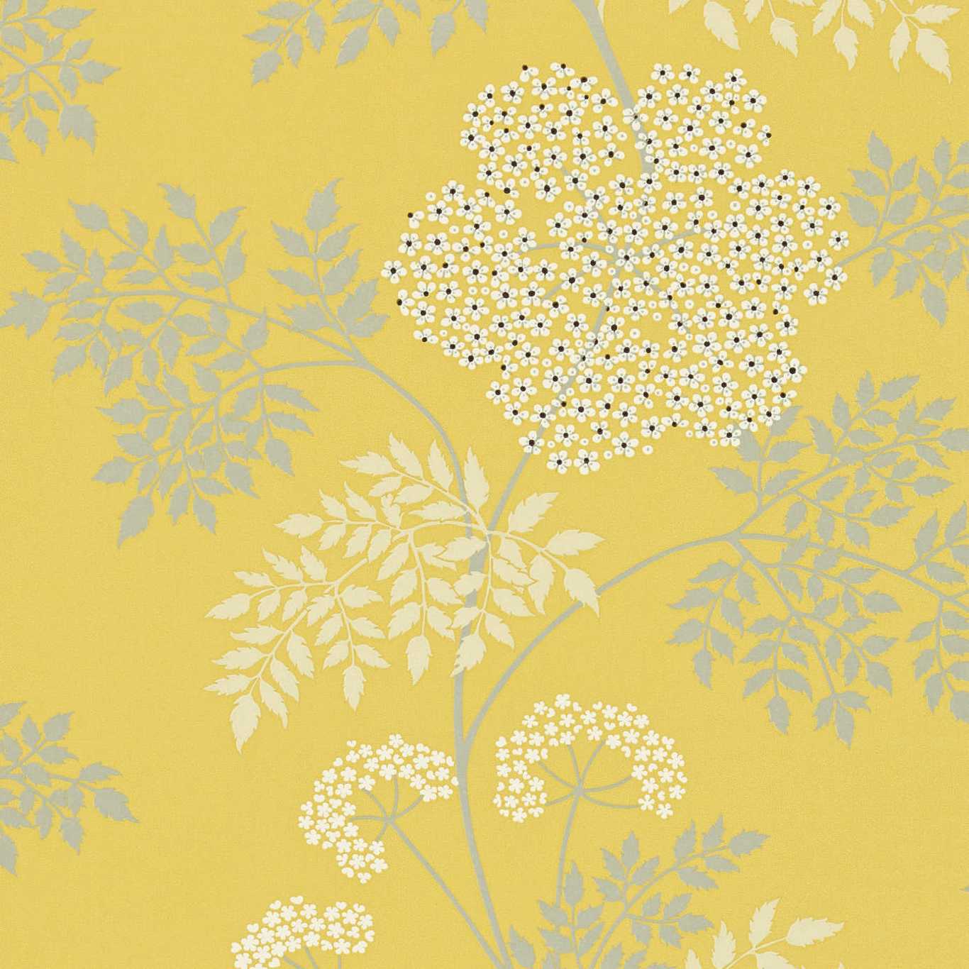 Обои Cowparsley от Sanderson