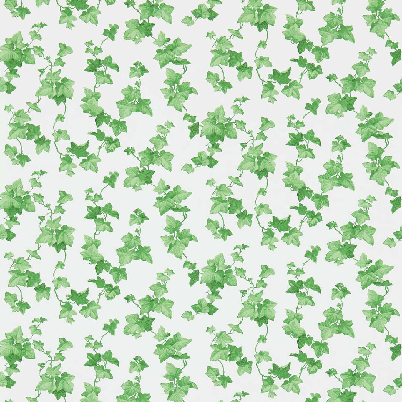 DVIN214593 GREEN DVIN214593 GREEN