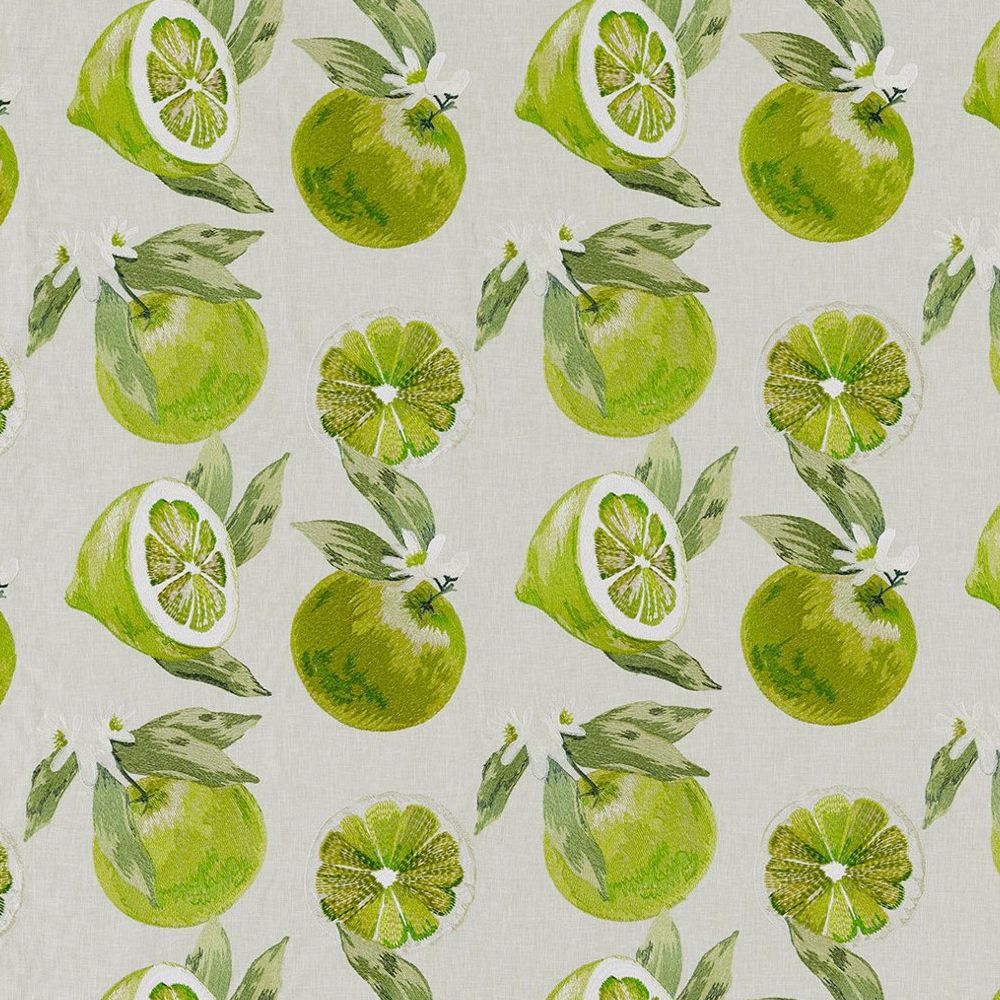 Ткань Agrias от Clarke & Clarke