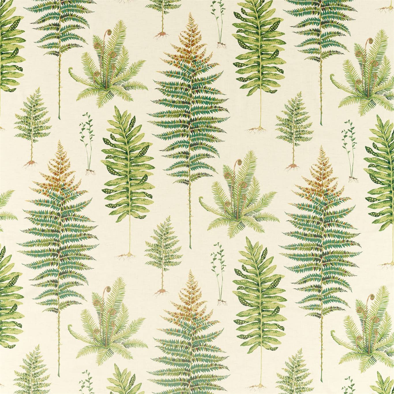 Ткань Fernery от Sanderson